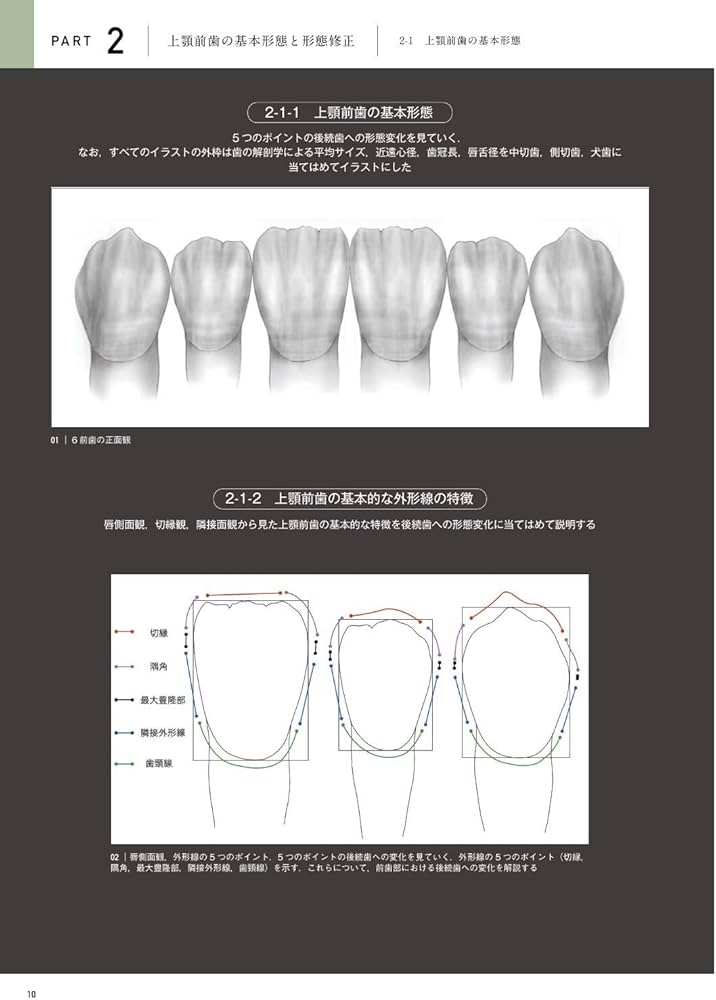 天然歯の形態学 2 | 脇田 太裕 |本 | 通販 | Amazon