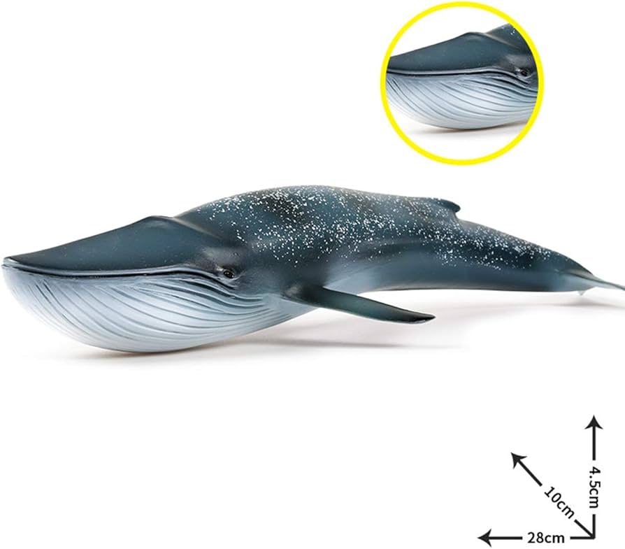 616TwvasUvL._AC_UF894,