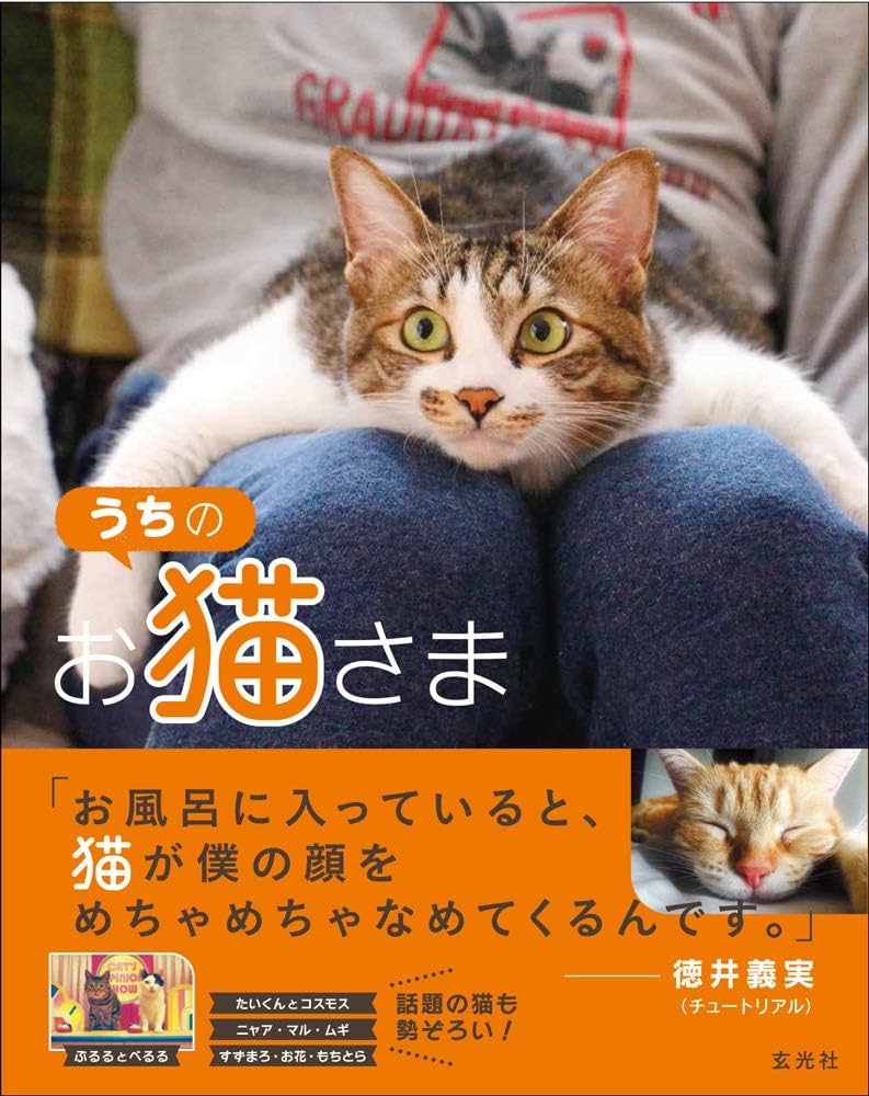 うちのお猫さま |本 | 通販 | Amazon