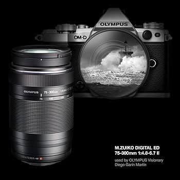 616hd4bwMYL._AC_UF350,