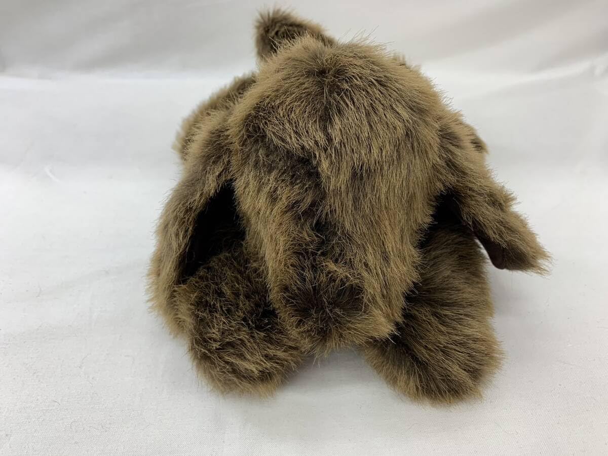 Amazon.co.jp: /中古 ケテクルーゼ Kaethe Kruse くたくた犬