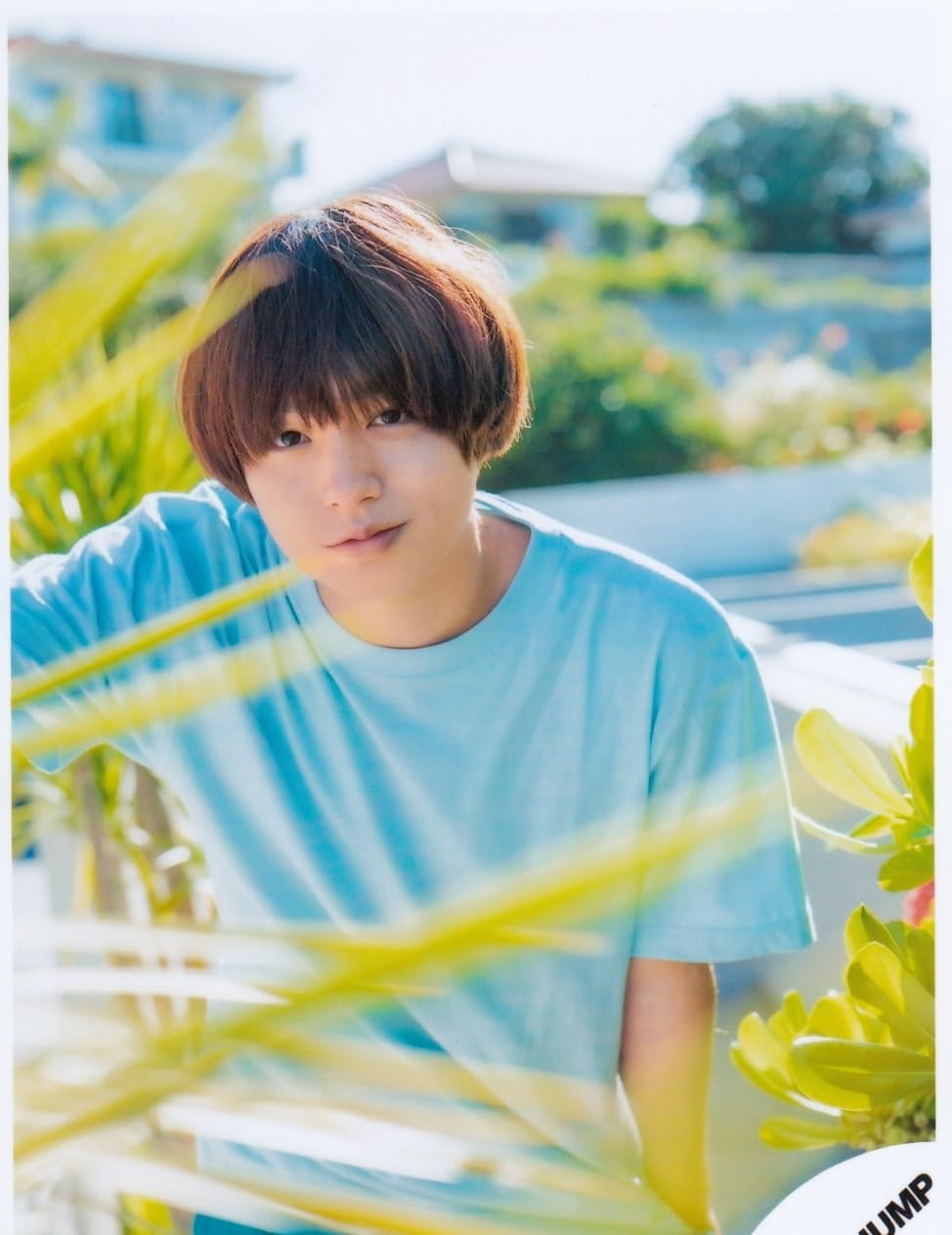 Amazon.co.jp: Hey! Say! JUMP 公式生写真（伊野尾慧）HAL00814 : おもちゃ