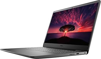 Amazon.com: Dell Inspiron 3501 15.6''FHD Touchscreen Business