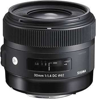 Amazon.com : Sigma 30mm f/1.4 DC HSM Art Lens for Nikon F (301-306