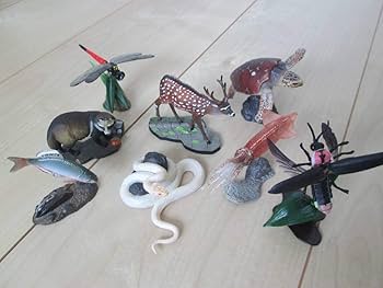 Amazon | 海洋堂 週刊日本の天然記念物フィギュア全種コンプリート+