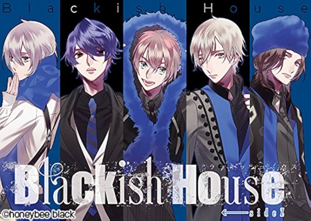 Amazon | 【通常版】Blackish House ←sideZ | PCゲーム | PCソフト
