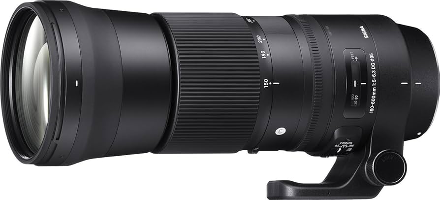 Amazon.com : Sigma 150-600mm F5-6.3 DG OS HSM Zoom Lens