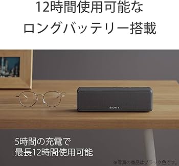 Amazon.co.jp: ソニー ワイヤレスポータブルスピーカー SRS-HG10