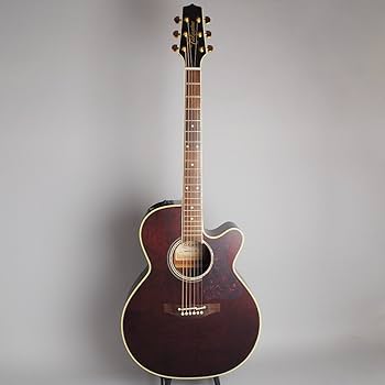 Amazon | Takamine DMP551C WR エレアコギター 500シリーズ (タカミネ