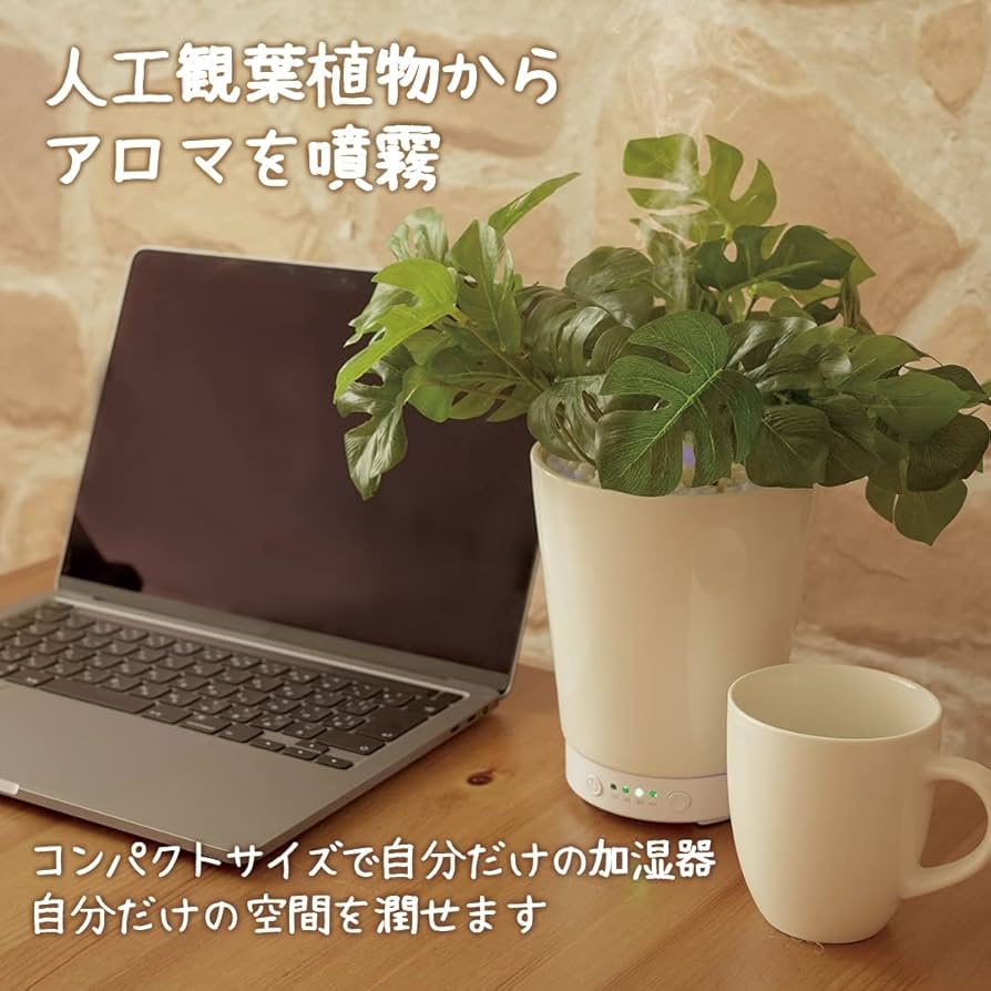 619dxwBbI5L._AC_UF894,