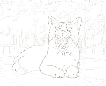 Amazon.co.jp: (ダウンロード特典付)こだわり塗り絵シリーズ そとねこ