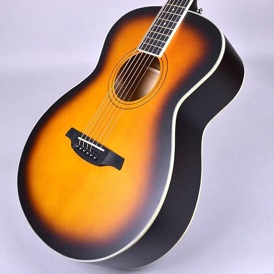 Amazon | Soldin SFG-15 Brown Sunburst Satin アコースティックギター