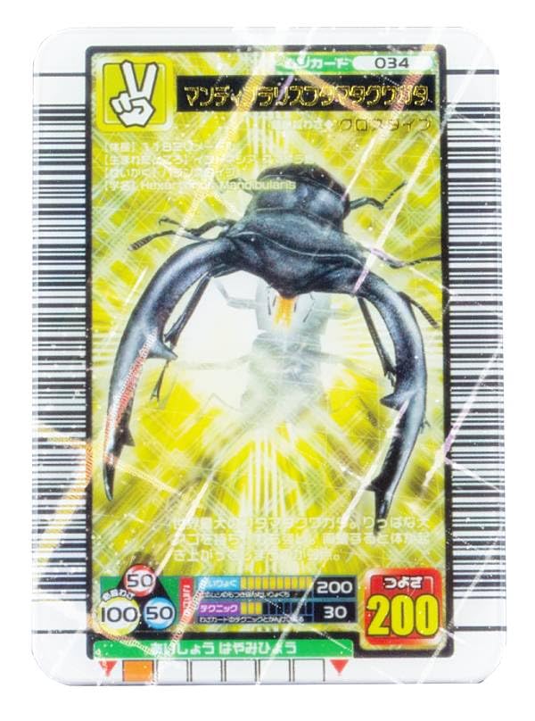 Amazon | 【マンディブラリスフタマタクワガタ】 甲虫王者ムシキング