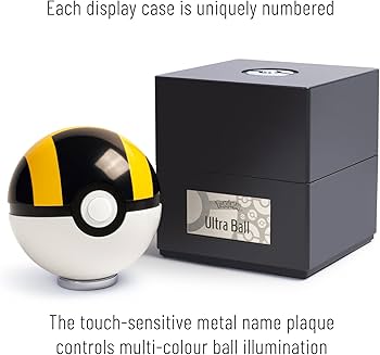 61-D8XEc0tL._AC_UF350,