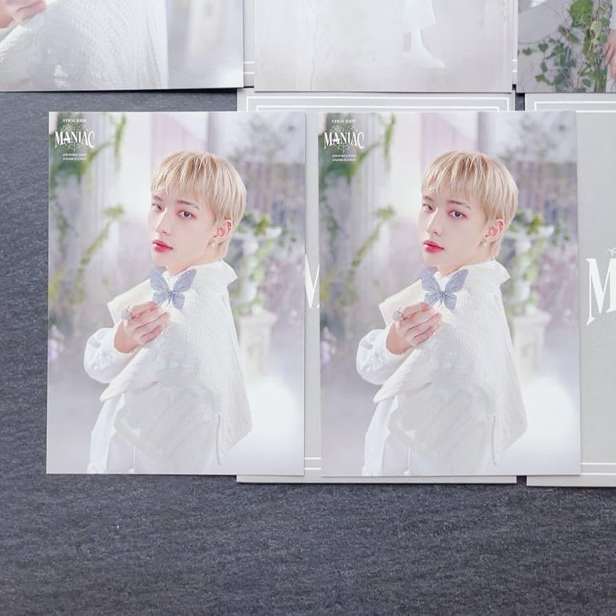 Amazon.co.jp: Stray Kids スキズ 2nd World Tour MANIAC ENCORE in