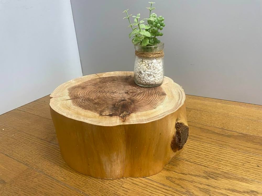 Amazon.co.jp: 杉丸太 切り株 輪切り サイドテーブル ディスプレイ台
