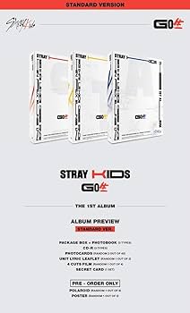 Amazon.com: Stray Kids - Go Live (GO生) [Standard ver. Random Type