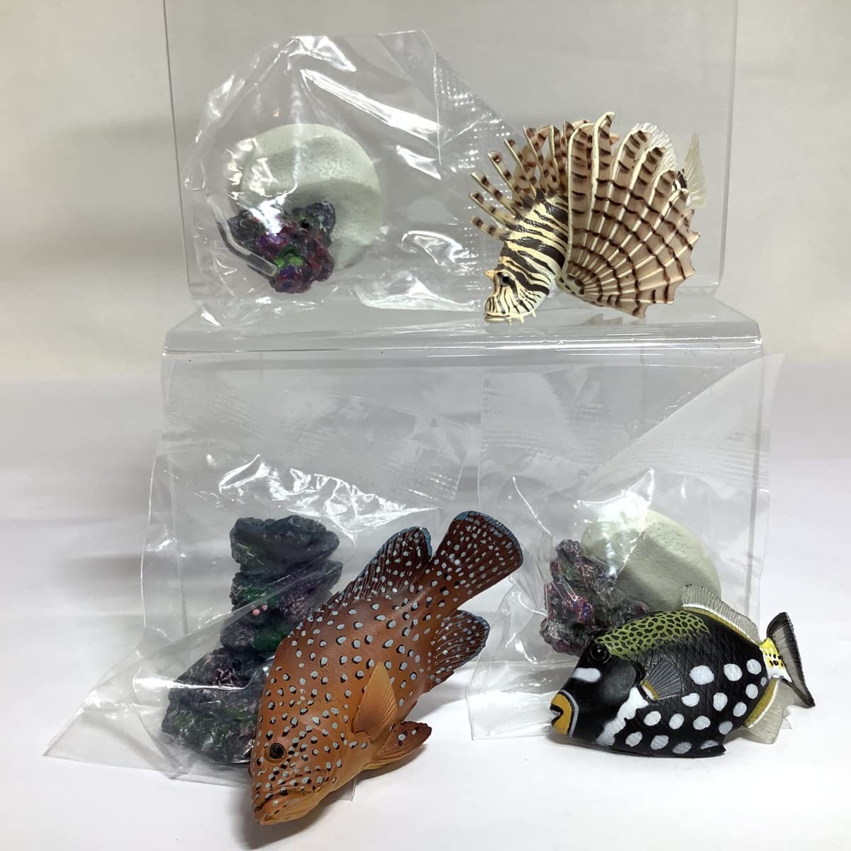 Amazon.co.jp: YUJIN 原色図鑑シリーズ10 原色海水魚図鑑Ⅰ 25個(16種