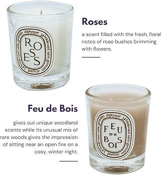 Amazon.co.jp: Diptyque 5個セット ホームアロマテラピーワックス