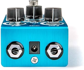 Amazon.com: Way Huge WM71 Aqua-Puss Analog Delay Effects Pedal