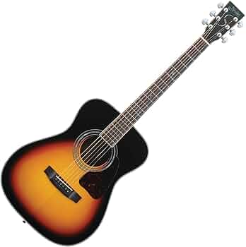 Amazon | S.Yairi ヤイリ Traditional Series アコースティックギター