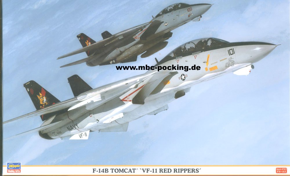 Amazon | ハセガワ 1/48 F-14B トムキャット VF-11 レッドリッパーズ