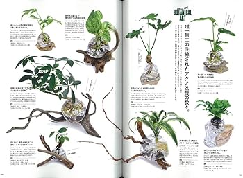 別冊Lightning 207 グリーンライフ (エイムック 4374 別冊Lightning