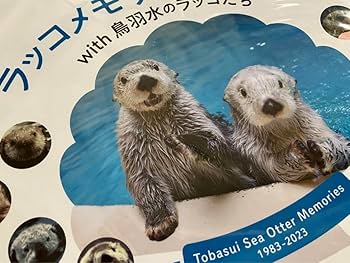 Amazon.co.jp: 鳥羽水族館 ラッコメモリアルBOOK with 鳥羽水のラッコ