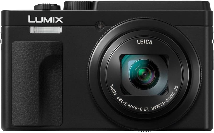 Amazon.com : Panasonic LUMIX ZS80D 4K Digital Camera, 20.3MP 1/2.3