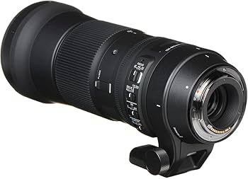Amazon.co.jp: シグマ(Sigma) レンズ 150-600mm F5-6.3 DG OS HSM