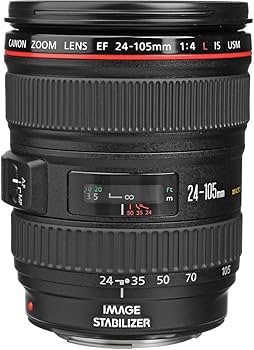 Amazon.com : Canon EF 24-105mm f/4L IS USM Zoom Lens - White Box