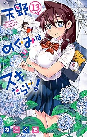 天野めぐみはスキだらけ! (14) (少年サンデーコミックス) | ねこぐち