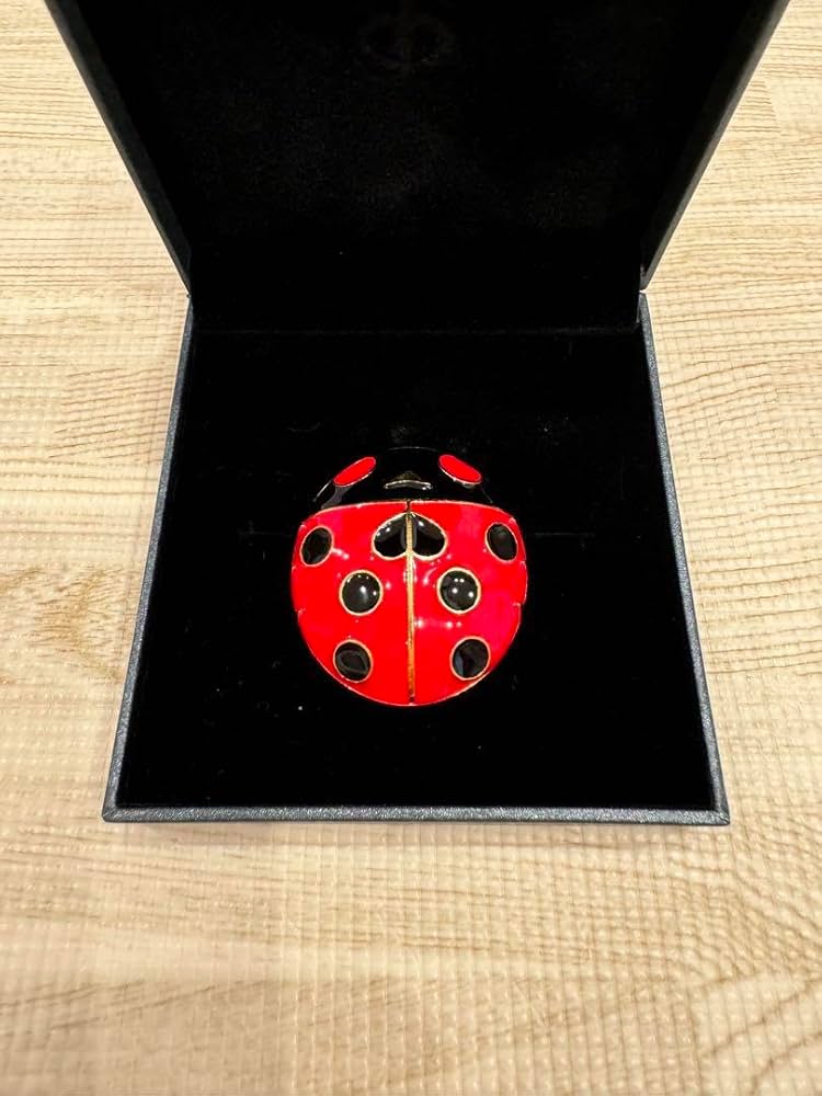 Amazon.co.jp: ジョルノ てんとう虫 ブローチ 荒木飛呂彦原画展 冒険の