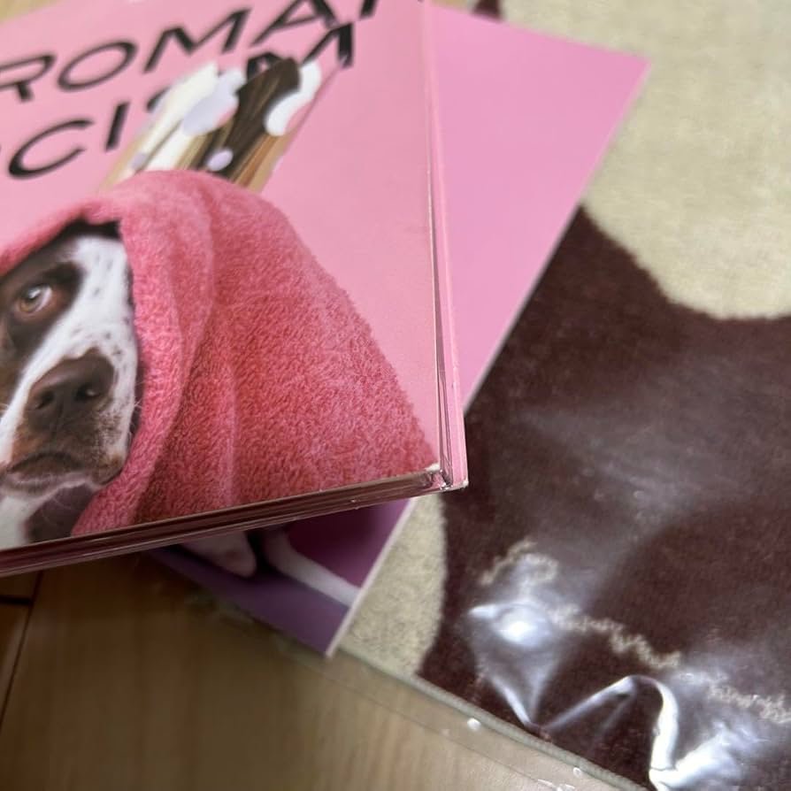 Amazon.co.jp: Mrs. GREEN APPLE ロマンチシズム 完全生産限定 ドッグ