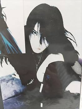 Amazon.co.jp: PIERROTピエロ アーティストフォトとポストカード