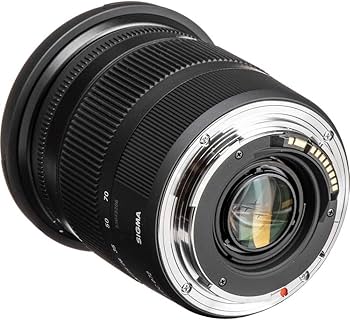 Amazon.co.jp: SIGMA 17-70mm F2.8-4 DC MACRO OS HSM | Contemporary