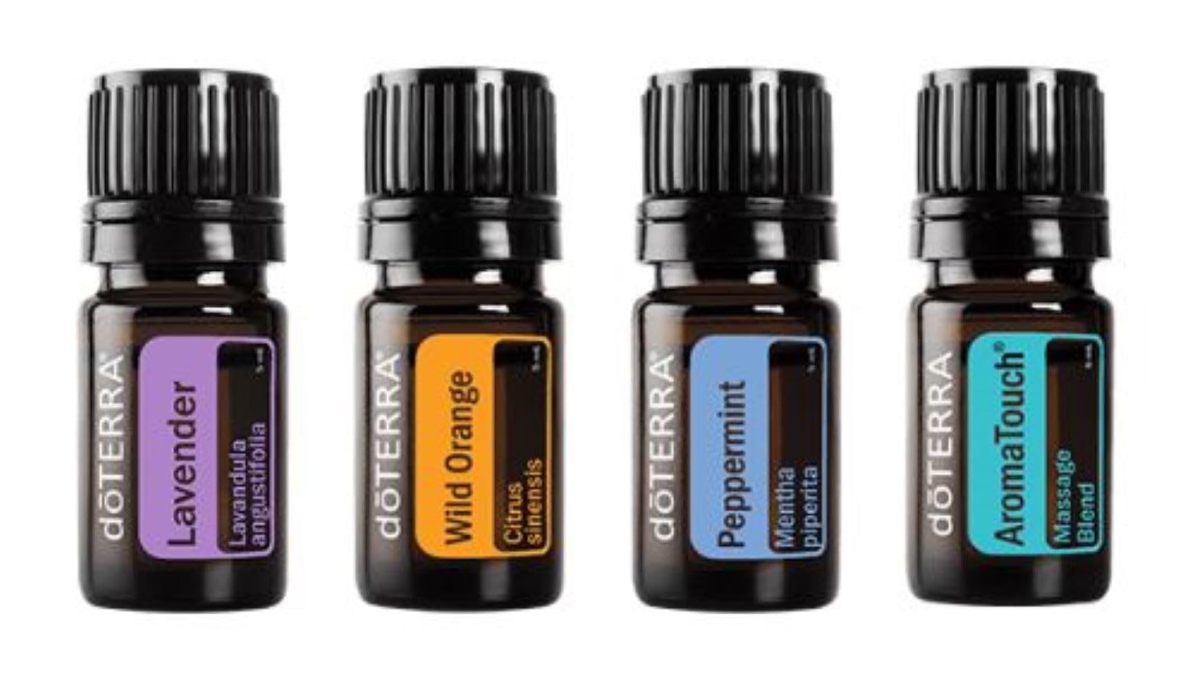 Amazon.com: doTERRA Travel Kit : Health & Household