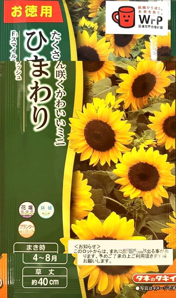 Amazon | タキイ種苗 徳用 ミニひまわり F1スマイルラッシュ | 野菜