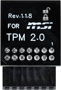 Amazon.com: TPM2.0 Security Module 14Pin -LPC M S I (14-1) Trusted