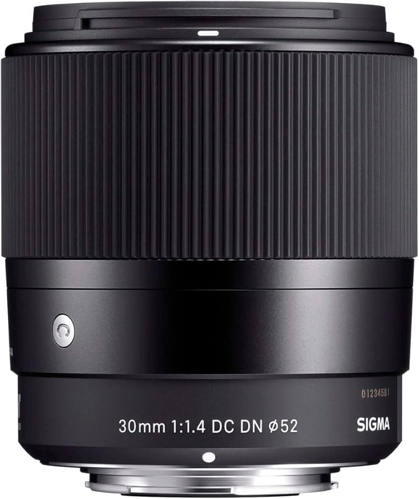 Amazon.com : Sigma 30mm F1.4 DC DN for L Mount : Electronics