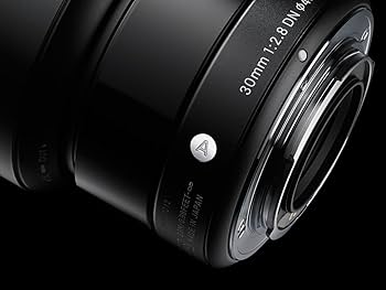 Amazon.com : Sigma 30mm F2.8 EX DN Art (Black) for Sony SE