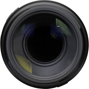 Amazon.com : Tamron 100-400mm F/4.5-6.3 VC USD Telephoto Zoom Lens