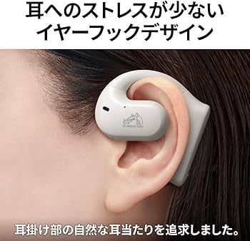 Amazon.co.jp: JVCケンウッド Victor ワイヤレスイヤホン bluetooth
