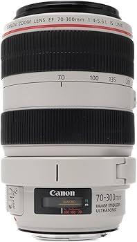 Amazon | Canon EF 70-300mm f4-5.6 L はUSMレンズ | カメラ用交換