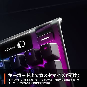 Amazon.co.jp: SteelSeries ゲーミングキーボード テンキーレス 有線