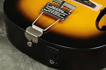 Amazon.co.jp: Epiphone / Masterbilt Century Olympic VB: 楽器・音響機器