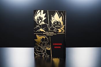 デュエル・マスターズ超全集 20thパーフェクトBOX ([バラエティ