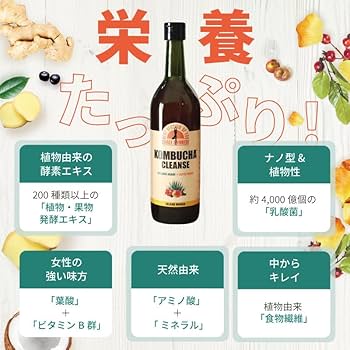 Amazon.co.jp: KOMBUCHA CLEANSE コンブチャクレンズ 1個 (x 1) : 食品