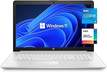 Amazon.com: HP Pavilion 17.3-inch IPS FHD Laptop (2022 Model