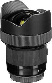 Amazon.co.jp: SIGMA 単焦点超広角レンズ Art 14mm F1.8 DG HSM シグマ